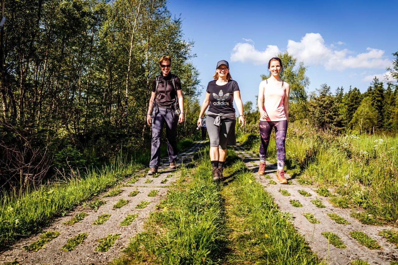 Das Bild zeigt 3 Wanderer auf dem Kolonnenweg am Grünen Band.